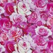 Vis produktside for: Pink roser
