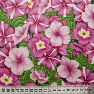 Pink Petunia