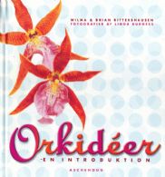 Orkideer - en introduktion