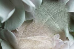 Silk mohair, 25 gr