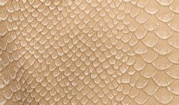 Kunstlæder - Beige slange