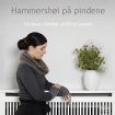 Vis produktside for: Hammershøi på pindene