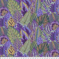 Coleus - PJ030-Lavender