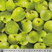 Vis produktside for: Grønne æbler med blad