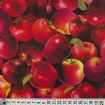 Vis produktside for: Røde æbler med blad