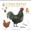 Vis produktside for: Chickens - kvadratiske kort