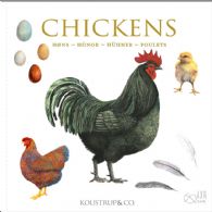 Chickens - kvadratiske kort