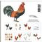 Chickens - kvadratiske kort