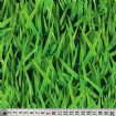 Vis produktside for: Græsstrå med dugdråber