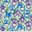 Vis produktside for: Bearded Iris - PJ105-Cool