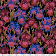 Bearded Iris - PJ105-Dark