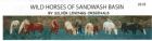 Vis produktside for: Wild Horses of Sandwash Basin