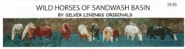 Wild Horses of Sandwash Basin
