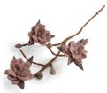 Vis produktside for: Magnolia gren med Dusty Rose Blomst