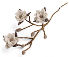 Magnolia gren med hvid Blomst