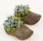 Træsko med blomster i