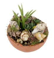 Beplantning med konkylier