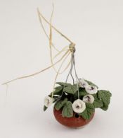 Ampel med hvide blomster