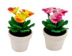 Potteplante med blomster