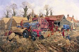 Threshing day