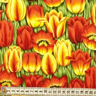 Røde og gule tulipaner.
