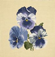 Pansies