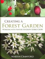 Creating a forest garden