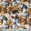 Vis produktside for: Hundecollage