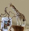Vis produktside for: Giraf "Twila" fra The Ark Animal