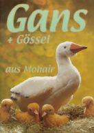 Ganz + Gössel aus Mohair