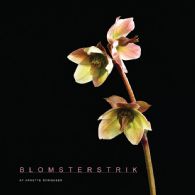 Blomsterstrik