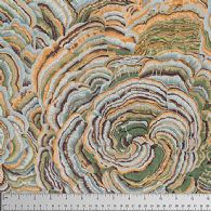 Tree Fungi - PJ082-Grey