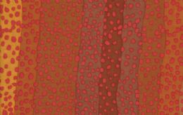 Ombre - GP117-Brown